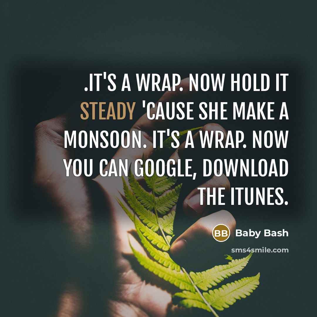 “.It's a wrap. Now hold it steady 'cause she make a monsoon. It's a wrap. Now you can Google, download the iTunes.” quote by Baby Bash