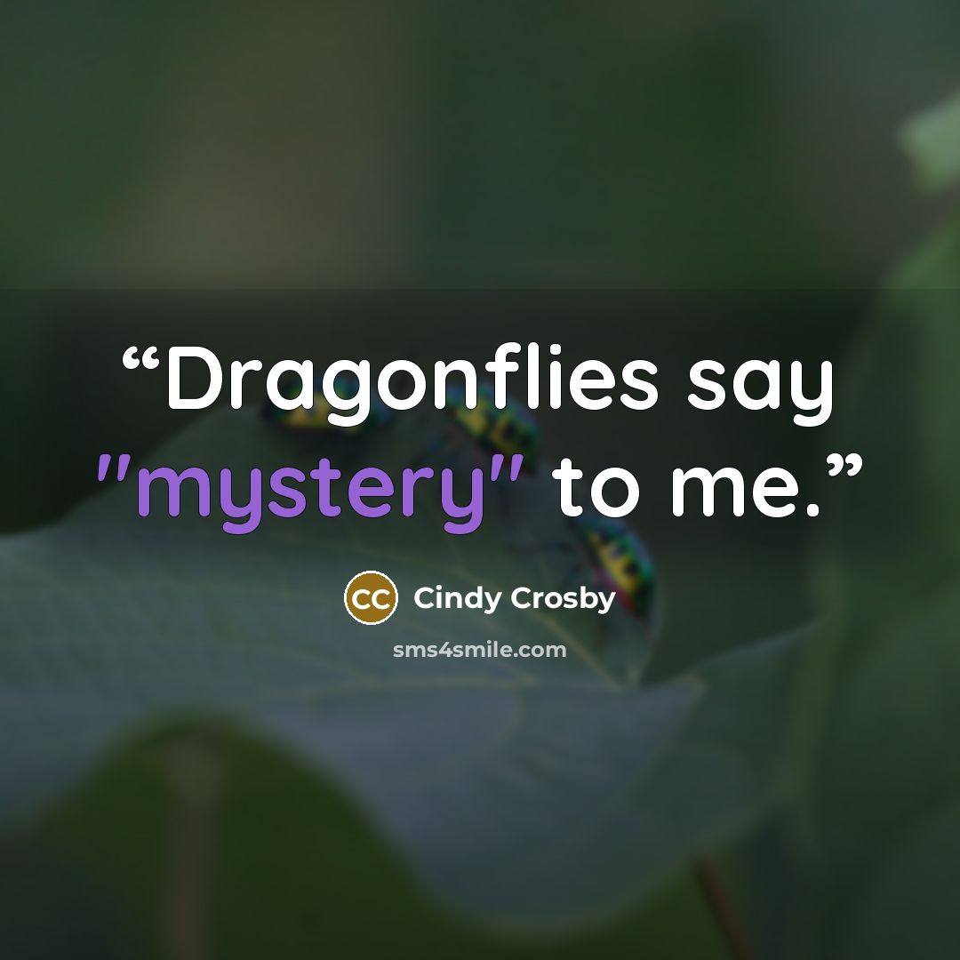 “Dragonflies say "mystery" to me.” quote by Cindy Crosby