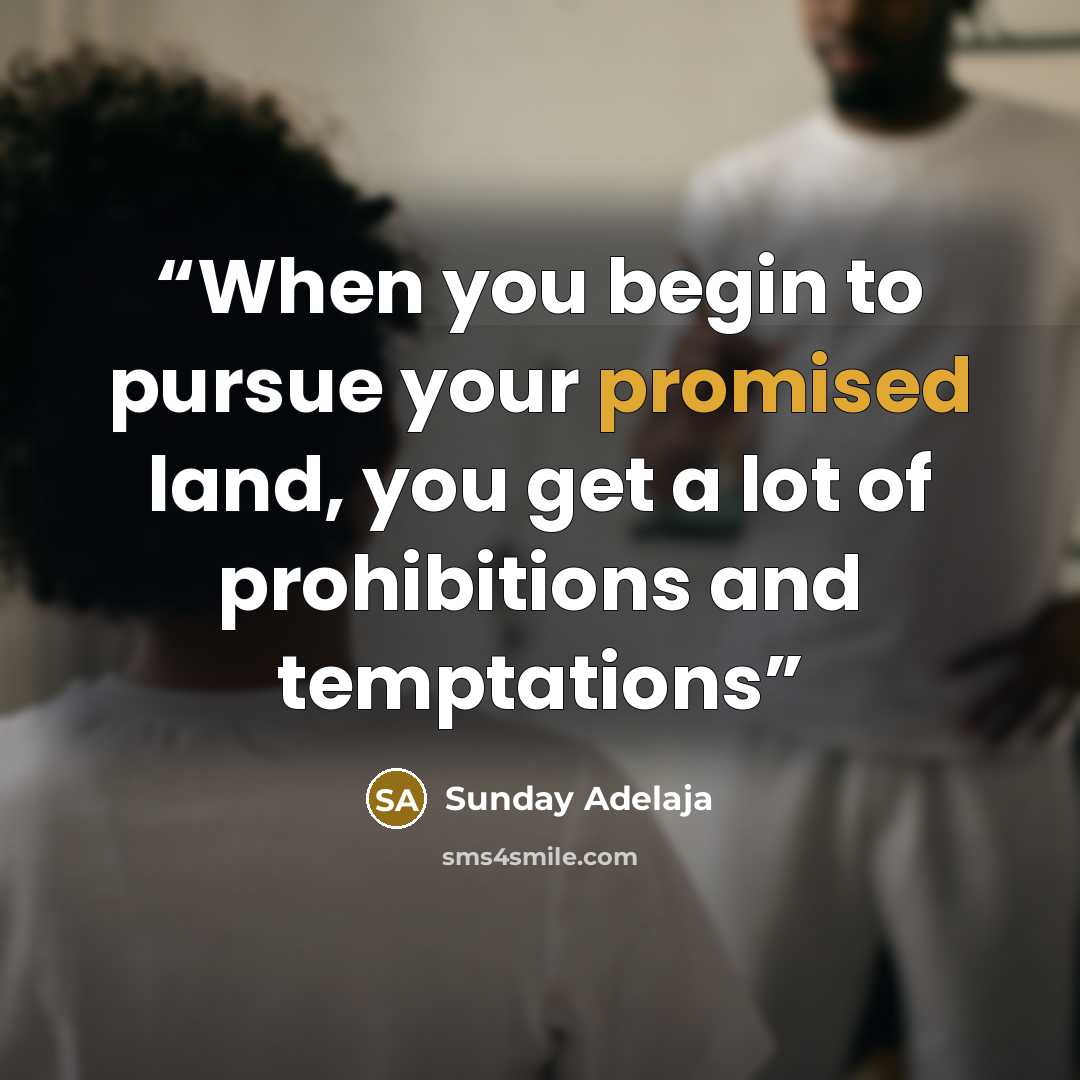 “When you begin to pursue your promised land, you get a lot of prohibitions and temptations” quote by Sunday Adelaja