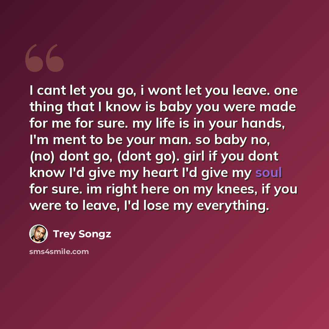 “I cant let you go, i wont let you leave. one thing that I know is baby you were made for me for sure. my life is in your hands, I'm ment to be your man. so baby no, (no) dont go, (dont go). girl if you dont know I'd give my heart I'd give my soul for sure. im right here on my knees, if you were to…” quote by Trey Songz