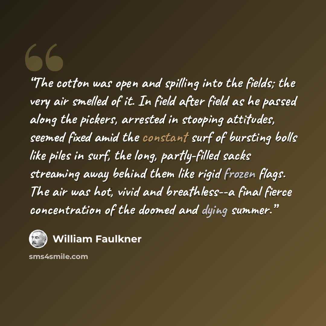 “The cotton was open and spilling into the fields; the very air smelled of it. In field after field as he passed along the pickers, arrested in stooping attitudes, seemed fixed amid the constant surf of bursting bolls like piles in surf, the long, partly-filled sacks streaming away behind them like…” quote by William Faulkner