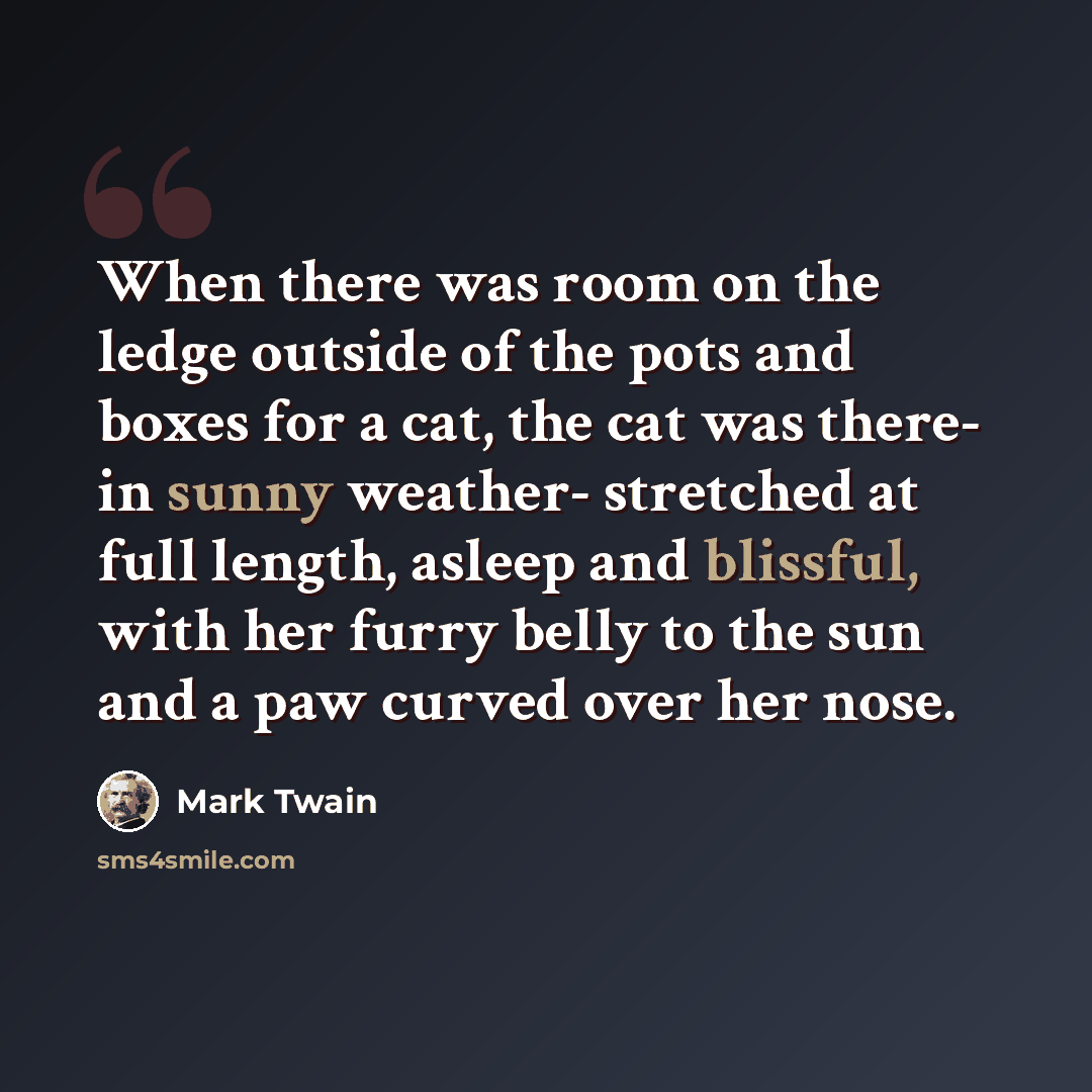“When there was room on the ledge outside of the pots and boxes for a cat, the cat was there- in sunny weather- stretched at full length, asleep and blissful, with her furry belly to the sun and a paw curved over her nose.” quote by Mark Twain
