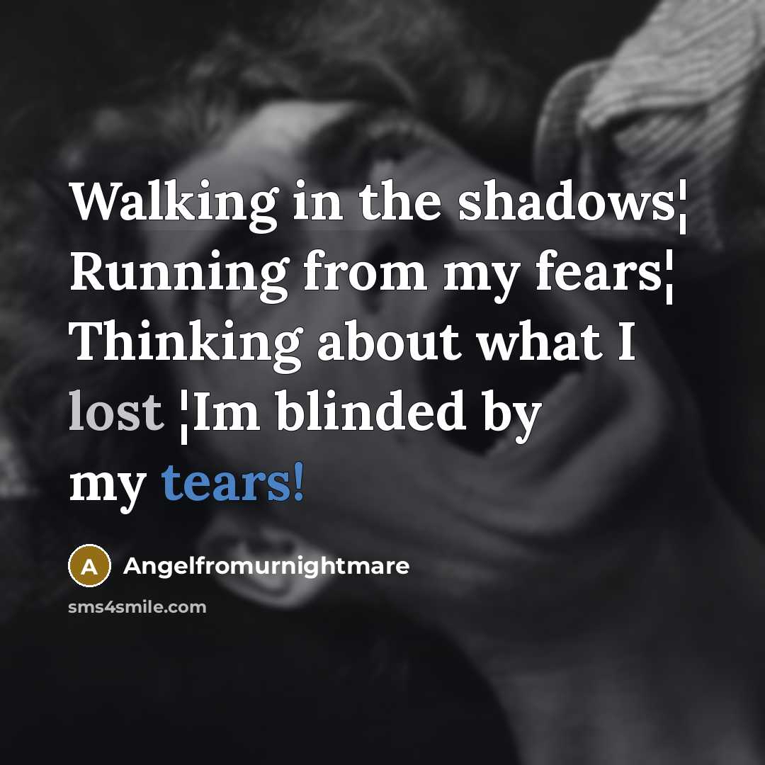 “Walking in the shadows¦ Running from my fears¦ Thinking about what I lost ¦Im blinded by my tears!” quote by Angelfromurnightmare