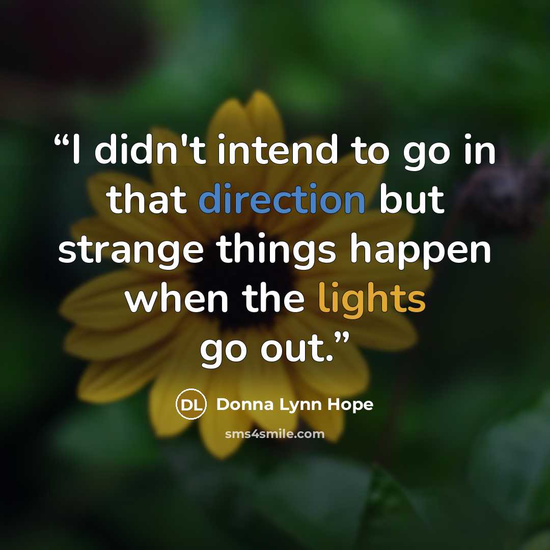 “I didn't intend to go in that direction but strange things happen when the lights go out.” quote by Donna Lynn Hope