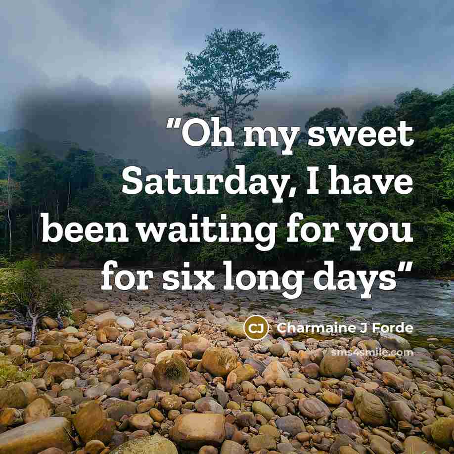 “Oh my sweet Saturday, I have been waiting for you for six long days” quote by Charmaine J Forde