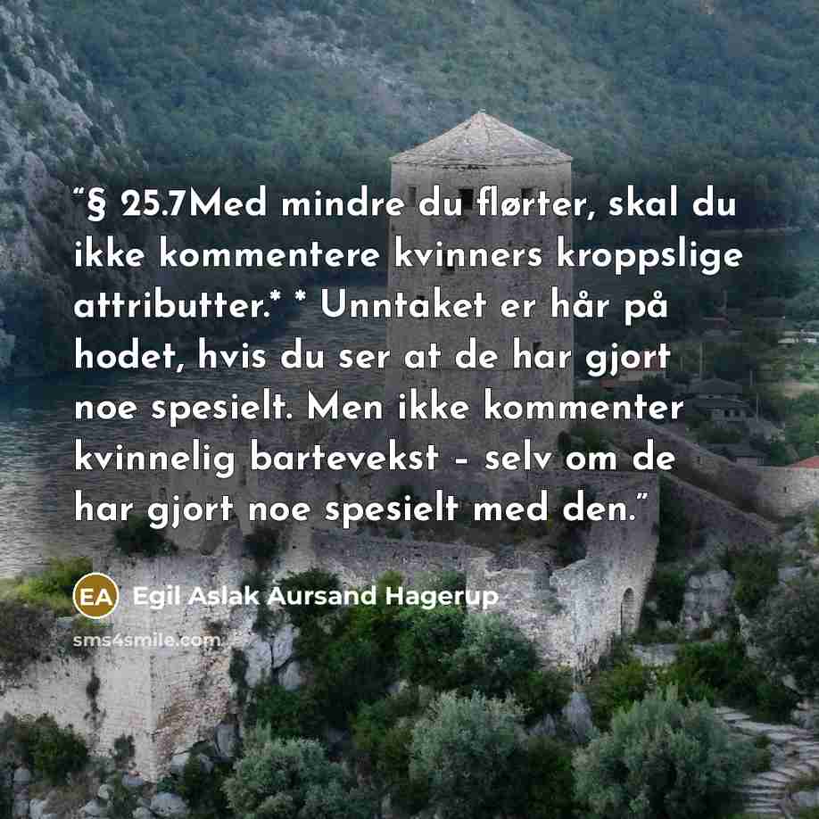 “§ 25.7Med mindre du flørter, skal du ikke kommentere kvinners kroppslige attributter.* * Unntaket er hår på hodet, hvis du ser at de har gjort noe spesielt. Men ikke kommenter kvinnelig bartevekst – selv om de har gjort noe spesielt med den.” quote by Egil Aslak Aursand Hagerup
