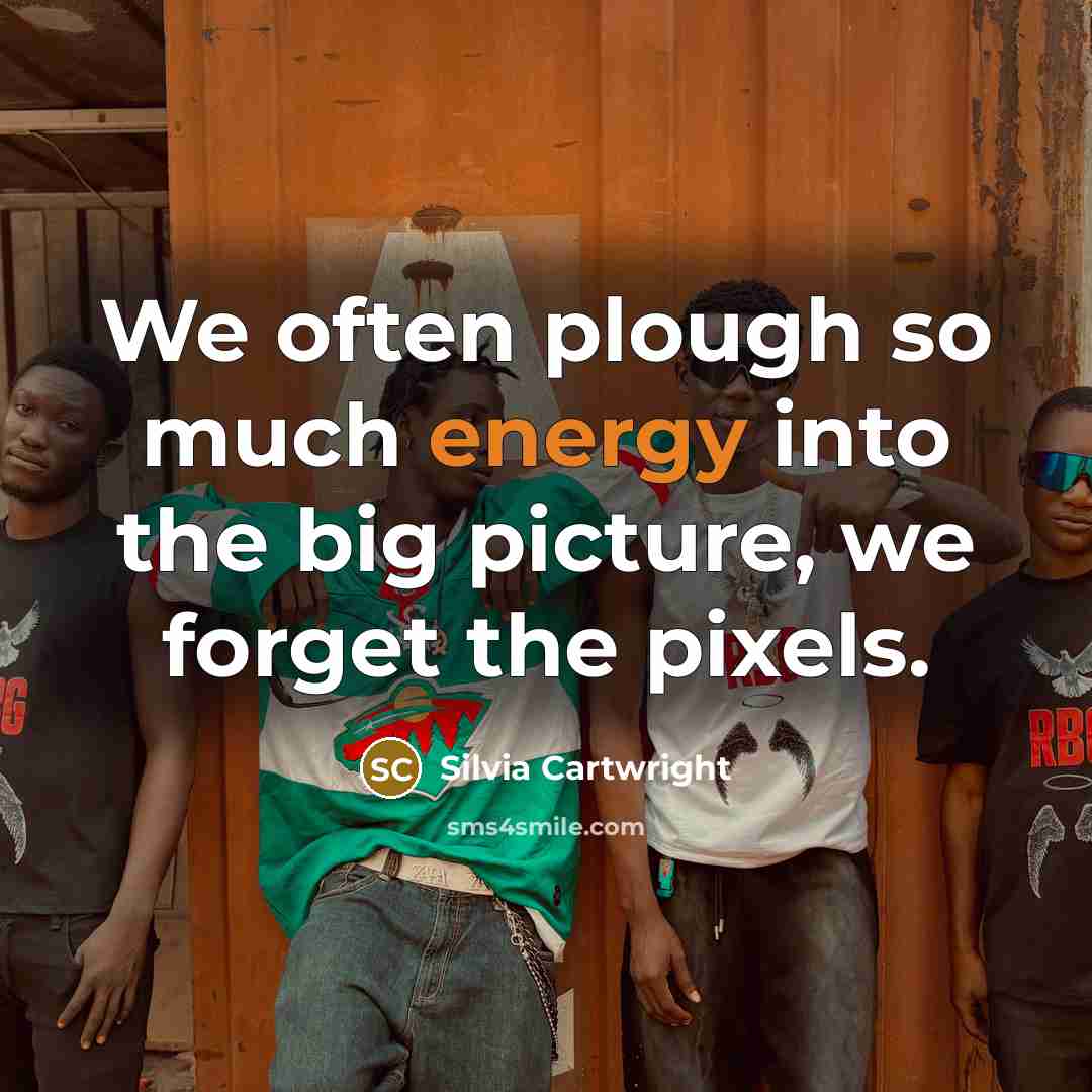 “We often plough so much energy into the big picture, we forget the pixels.” quote by Silvia Cartwright