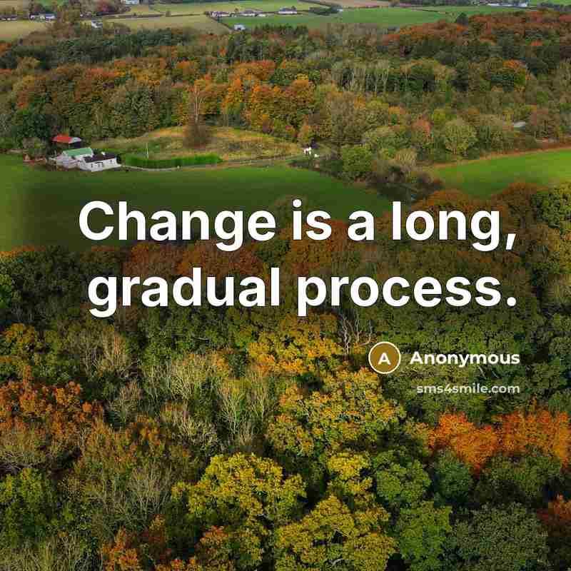 “Change is a long, gradual process.” quote by Anonymous