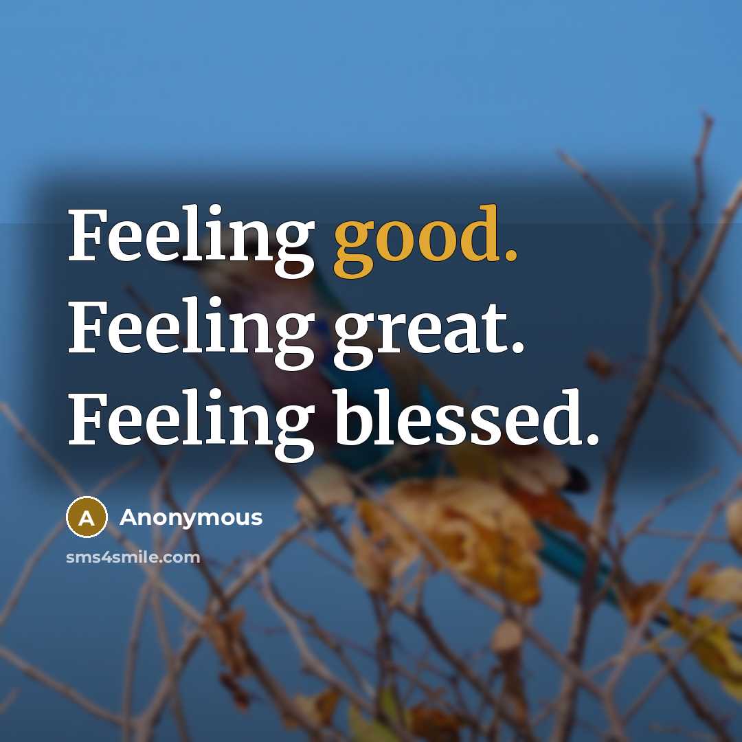 “Feeling good. Feeling great. Feeling blessed.” quote by Anonymous