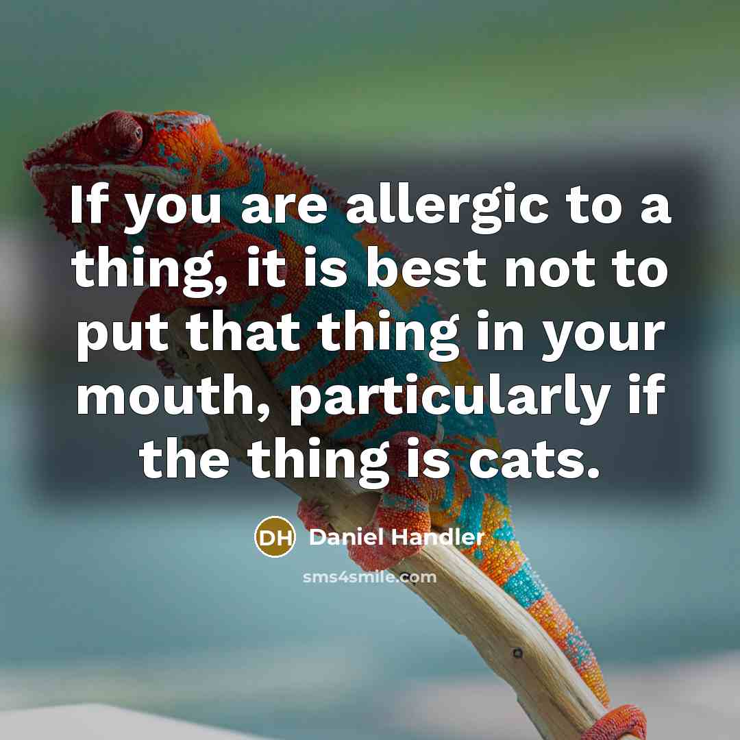 “If you are allergic to a thing, it is best not to put that thing in your mouth, particularly if the thing is cats.” quote by Daniel Handler