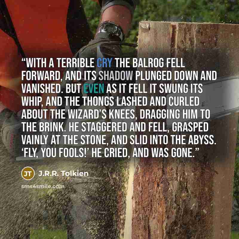“With a terrible cry the Balrog fell forward, and its shadow plunged down and vanished. But even as it fell it swung its whip, and the thongs lashed and curled about the wizard’s knees, dragging him to the brink. He staggered and fell, grasped vainly at the stone, and slid into the abyss. ‘Fly, you…” quote by J.R.R. Tolkien
