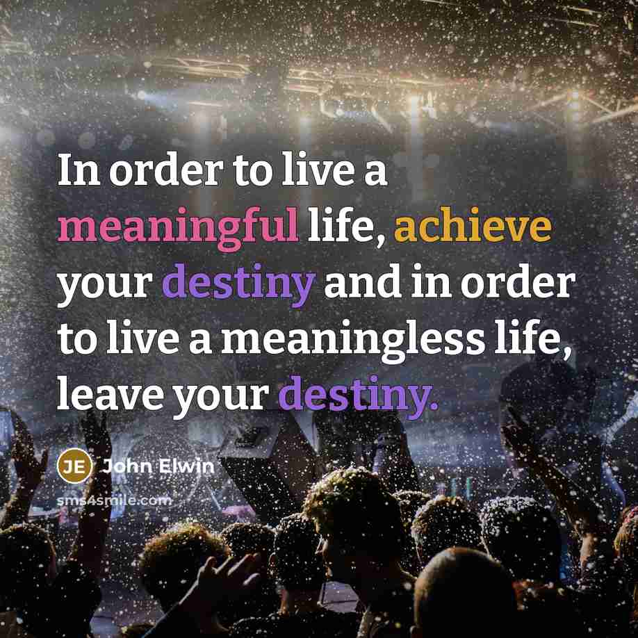 “In order to live a meaningful life, achieve your destiny and in order to live a meaningless life, leave your destiny.” quote by John Elwin
