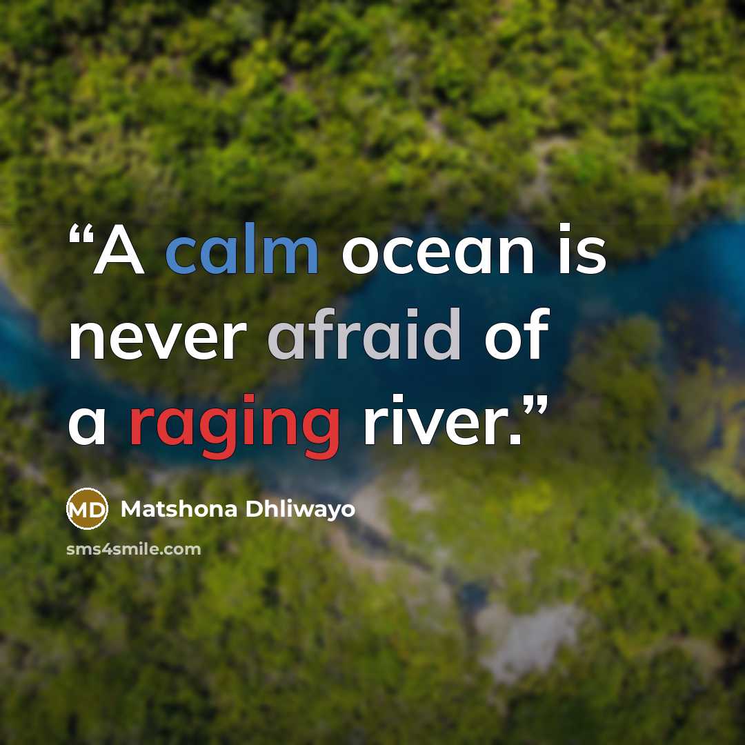 “A calm ocean is never afraid of a raging river.” quote by Matshona Dhliwayo