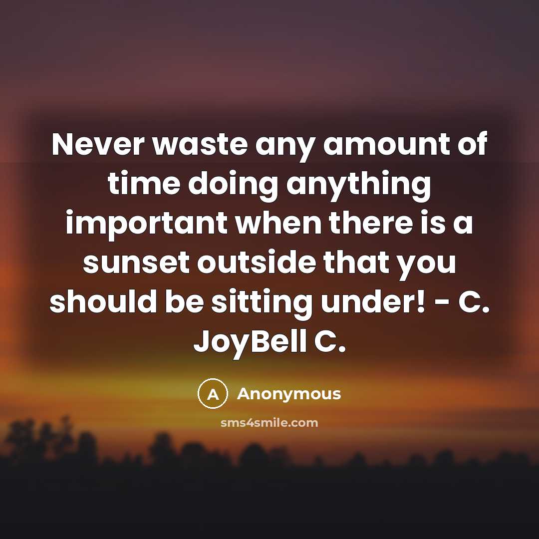 “Never waste any amount of time doing anything important when there is a sunset outside that you should be sitting under! - C. JoyBell C.” quote by Anonymous