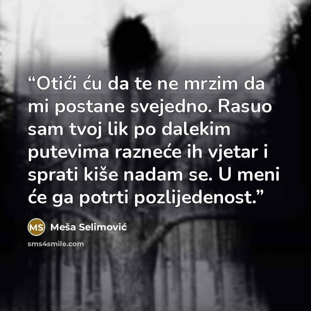 “Otići ću da te ne mrzim da mi postane svejedno. Rasuo sam tvoj lik po dalekim putevima razneće ih vjetar i sprati kiše nadam se. U meni će ga potrti pozlijedenost.” quote by Meša Selimović