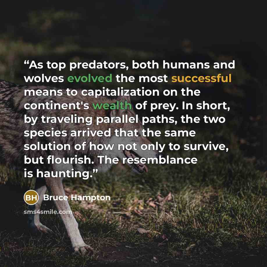 “As top predators, both humans and wolves evolved the most successful means to capitalization on the continent's wealth of prey. In short, by traveling parallel paths, the two species arrived that the same solution of how not only to survive, but flourish. The resemblance is haunting.” quote by Bruce Hampton