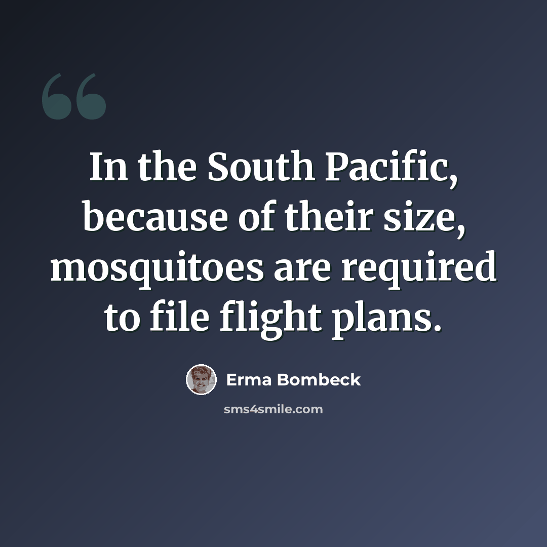 “In the South Pacific, because of their size, mosquitoes are required to file flight plans.” quote by Erma Bombeck