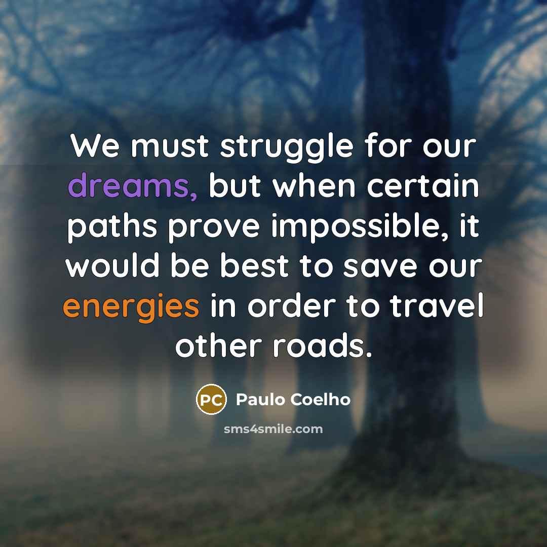 “We must struggle for our dreams, but when certain paths prove impossible, it would be best to save our energies in order to travel other roads.” quote by Paulo Coelho