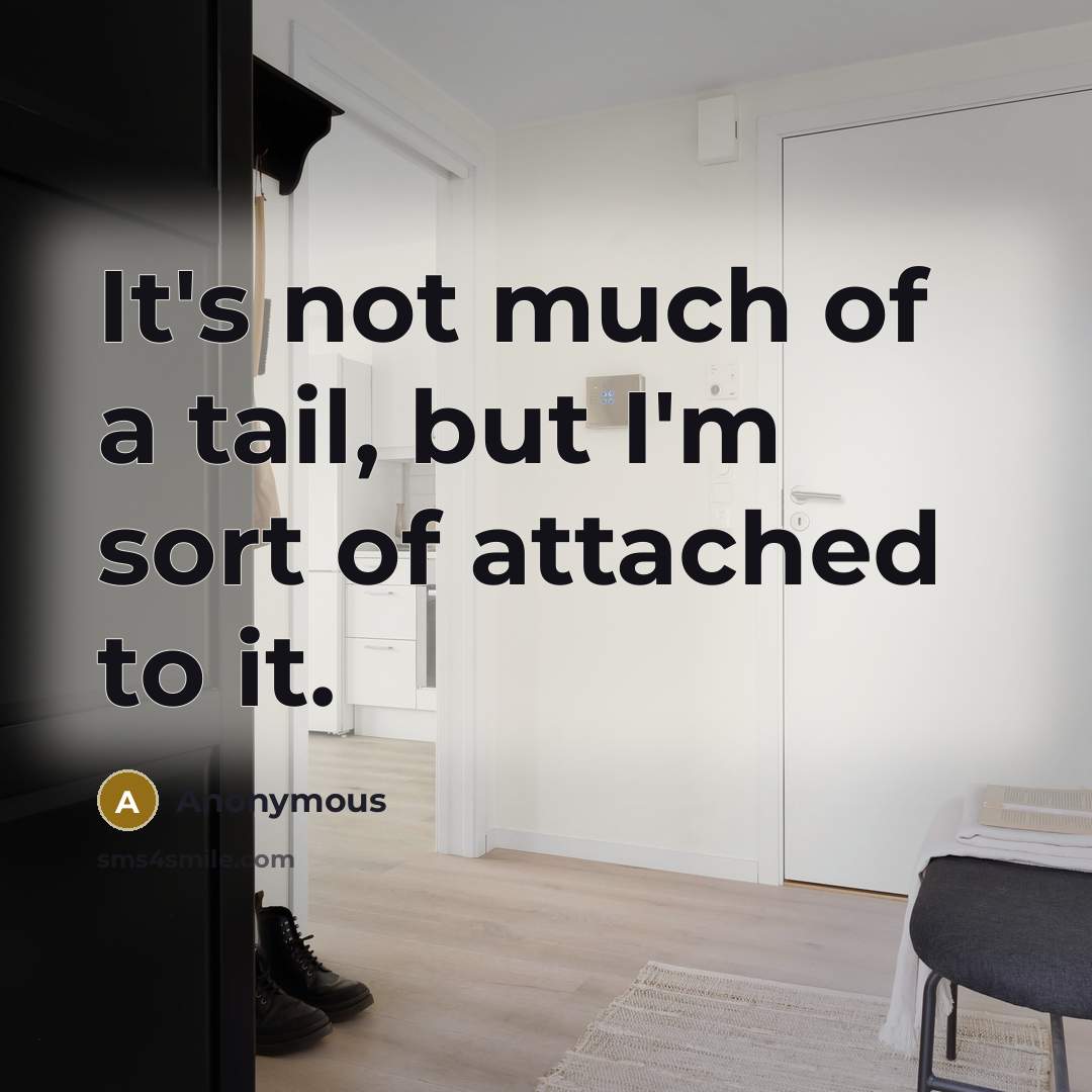 “It's not much of a tail, but I'm sort of attached to it.” quote by Anonymous
