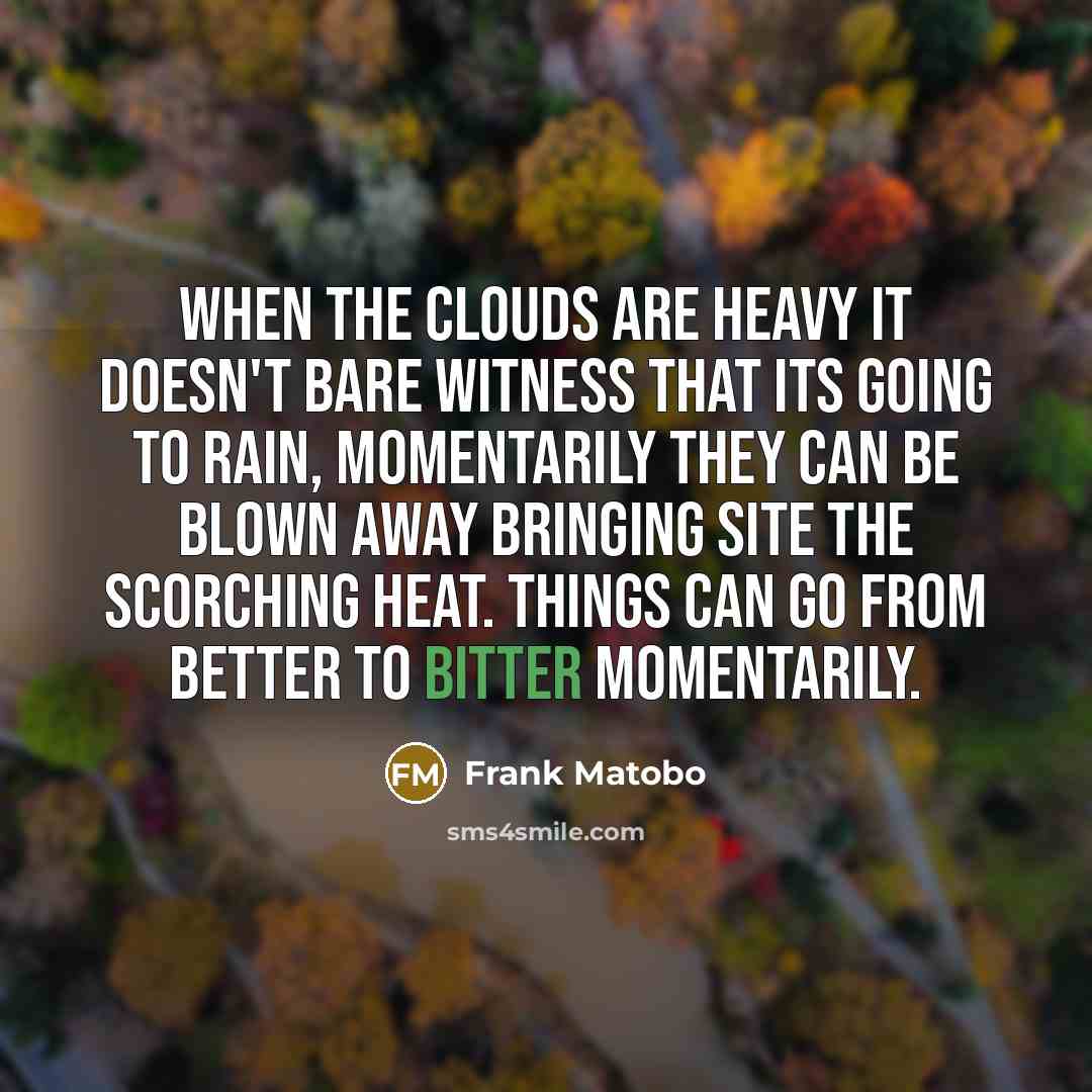 “When the clouds are heavy it doesn't bare witness that its going to rain, momentarily they can be blown away bringing site the scorching heat. Things can go from better to bitter momentarily.” quote by Frank Matobo