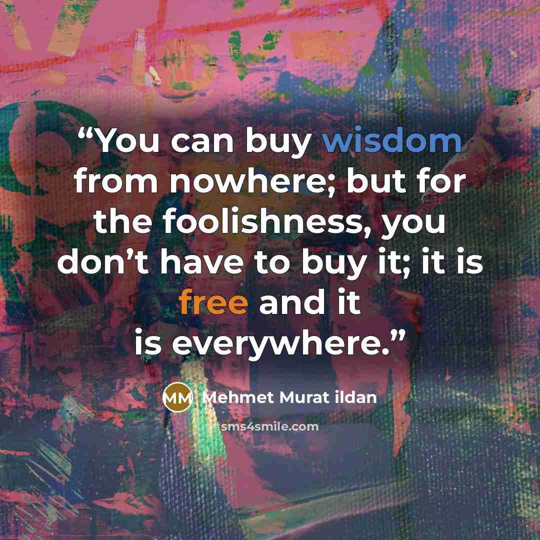 “You can buy wisdom from nowhere; but for the foolishness, you don’t have to buy it; it is free and it is everywhere.” quote by Mehmet Murat ildan