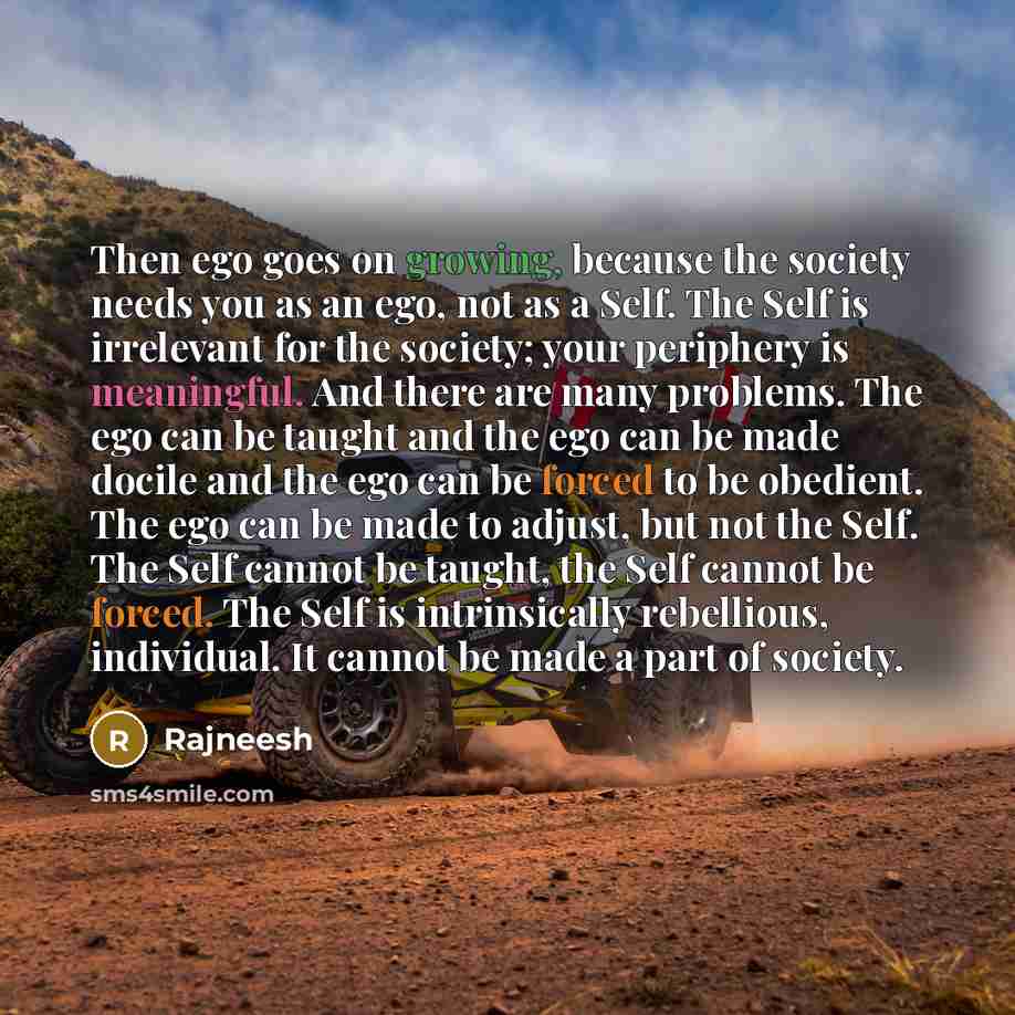 “Then ego goes on growing, because the society needs you as an ego, not as a Self. The Self is irrelevant for the society; your periphery is meaningful. And there are many problems. The ego can be taught and the ego can be made docile and the ego can be forced to be obedient. The ego can be made to…” quote by Rajneesh