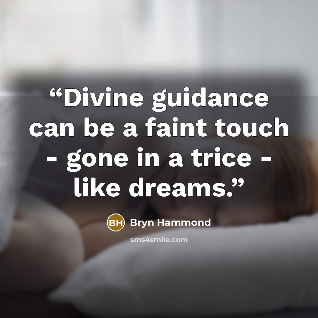 “Divine guidance can be a faint touch - gone in a trice - like dreams.” quote by Bryn Hammond