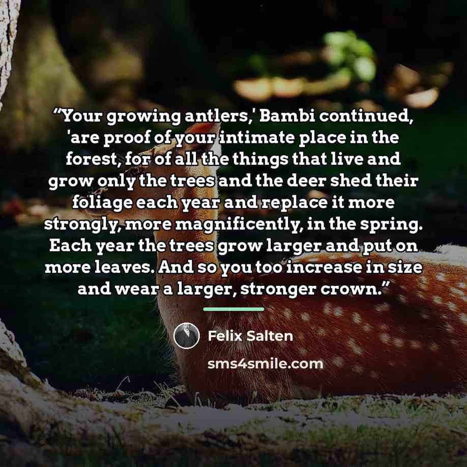 “Your growing antlers,' Bambi continued, 'are proof of your intimate place in the forest, for of all the things that live and grow only the trees and the deer shed their foliage each year and replace it more strongly, more magnificently, in the spring. Each year the trees grow larger and put on…” quote by Felix Salten