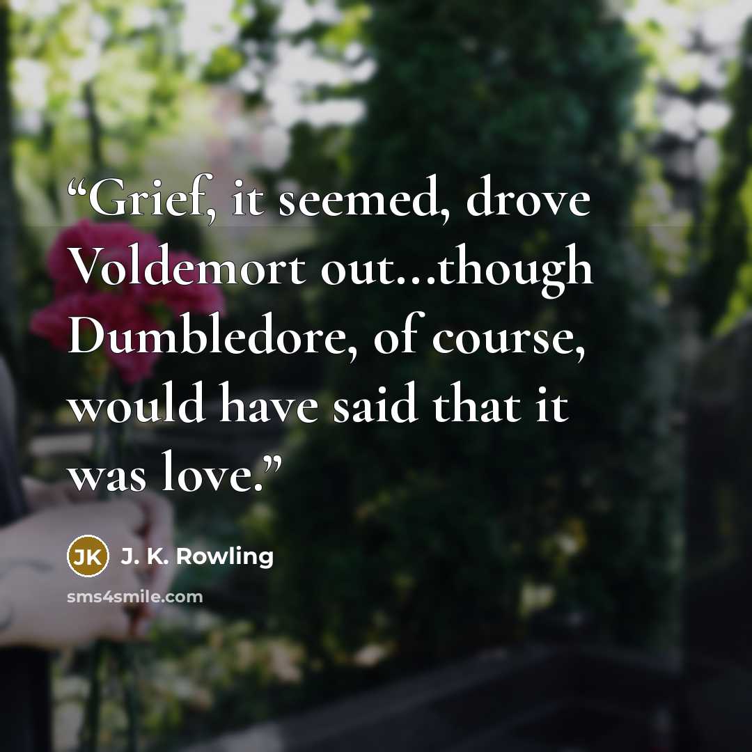 “Grief, it seemed, drove Voldemort out...though Dumbledore, of course, would have said that it was love.” quote by J. K. Rowling