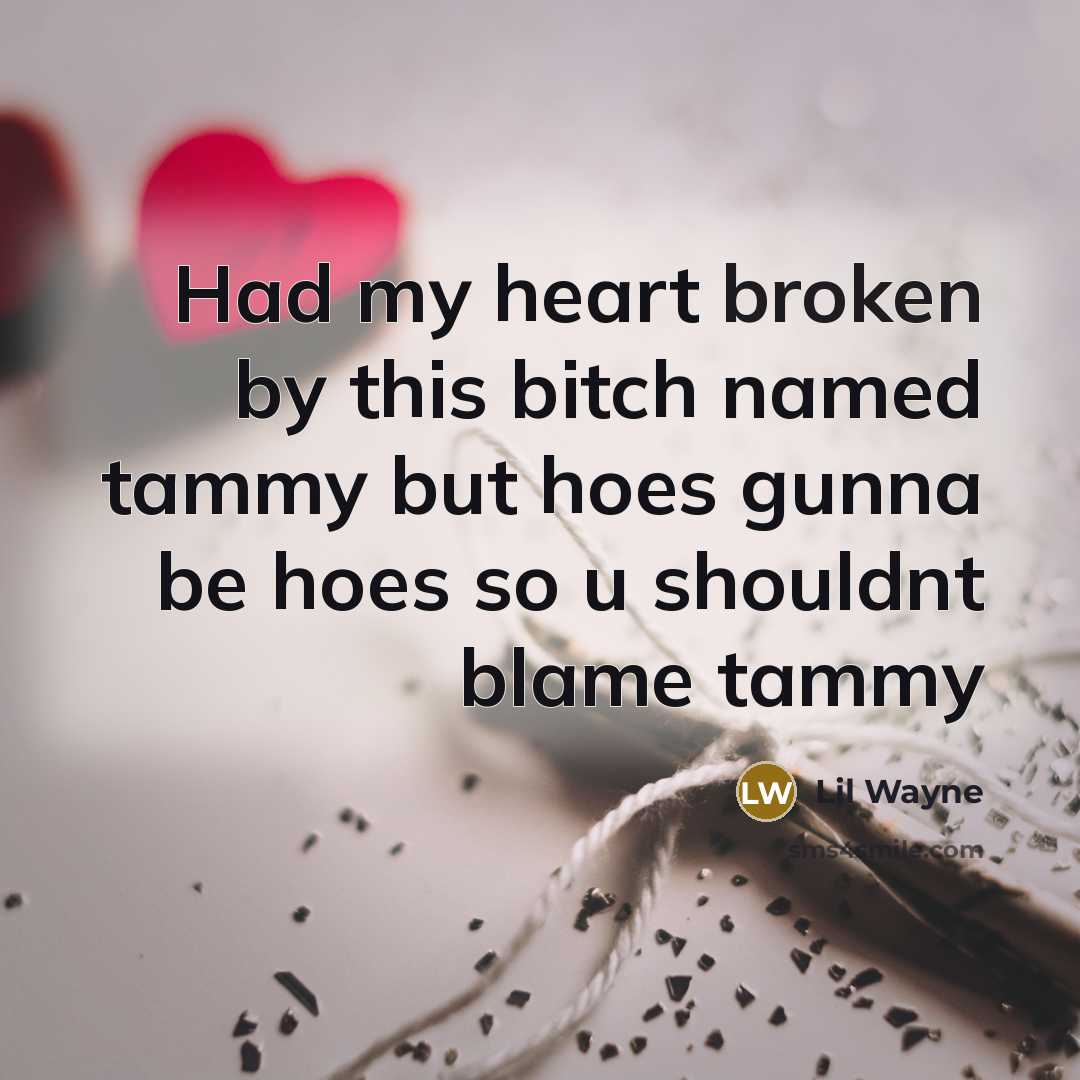 “Had my heart broken by this bitch named tammy but hoes gunna be hoes so u shouldnt blame tammy” quote by Lil Wayne