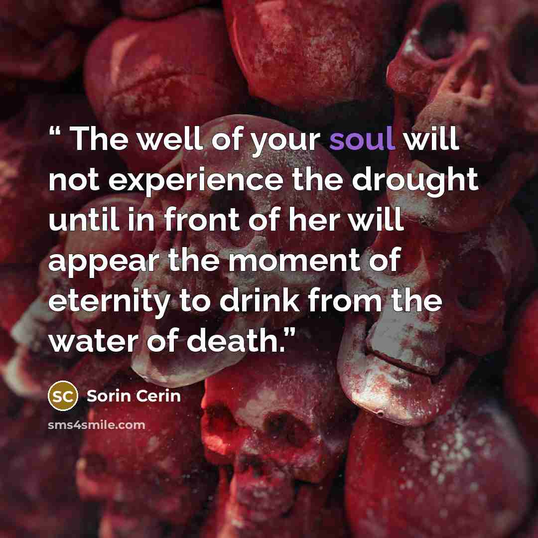 “The well of your soul will not experience the drought until in front of her will appear the moment of eternity to drink from the water of death.” quote by Sorin Cerin