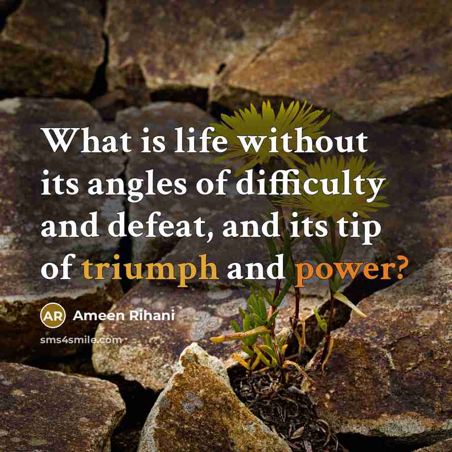 “What is life without its angles of difficulty and defeat, and its tip of triumph and power?” quote by Ameen Rihani