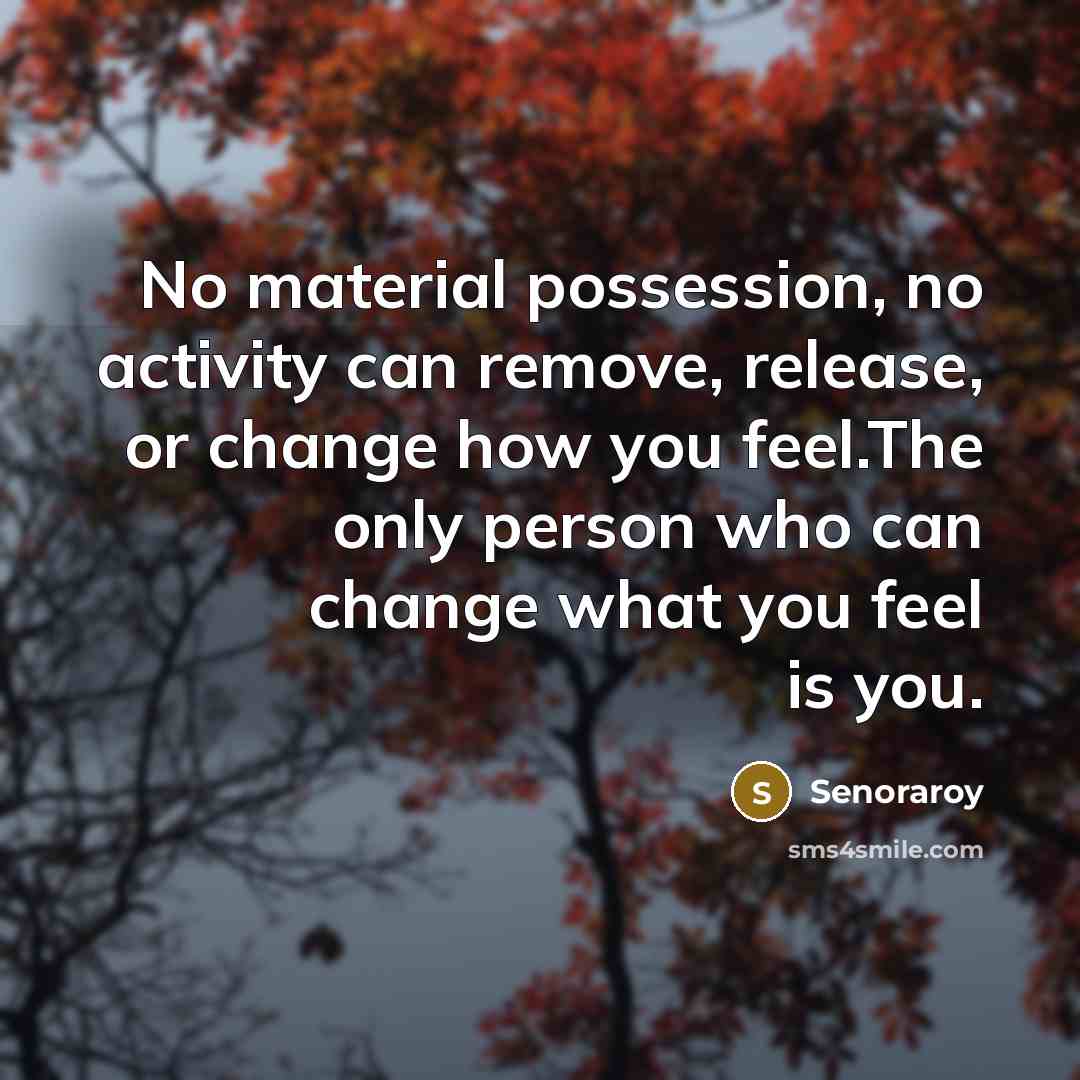 “No material possession, no activity can remove, release, or change how you feel.The only person who can change what you feel is you.” quote by Senoraroy