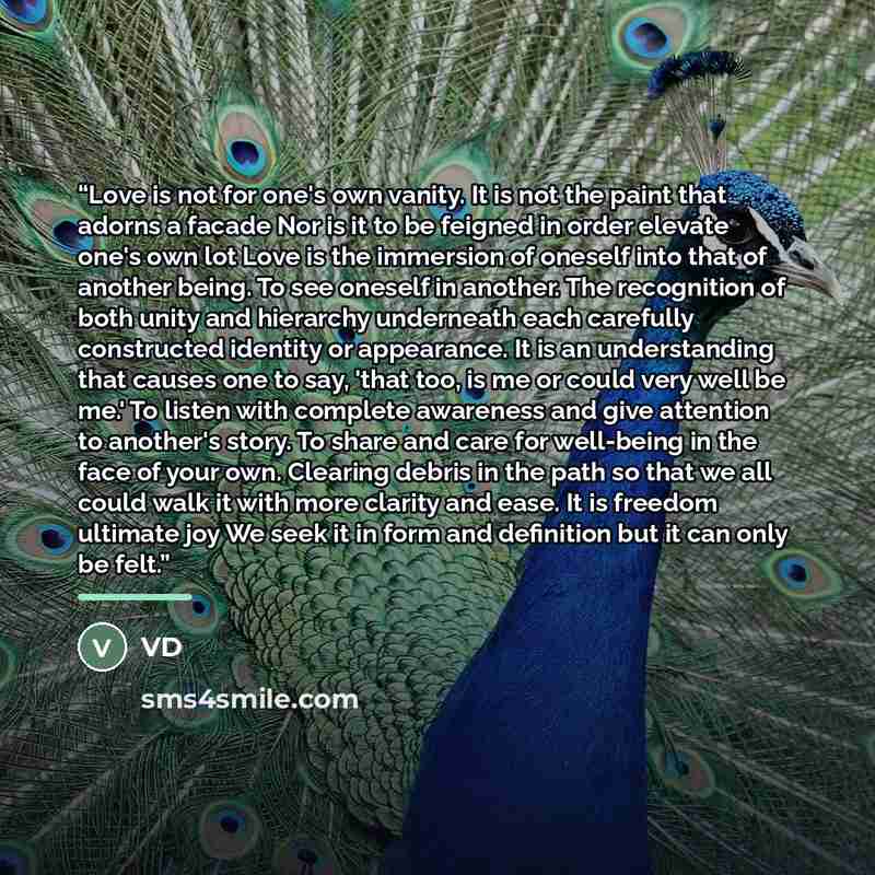“Love is not for one's own vanity. It is not the paint that adorns a facade Nor is it to be feigned in order elevate one's own lot Love is the immersion of oneself into that of another being. To see oneself in another. The recognition of both unity and hierarchy underneath each carefully…” quote by VD