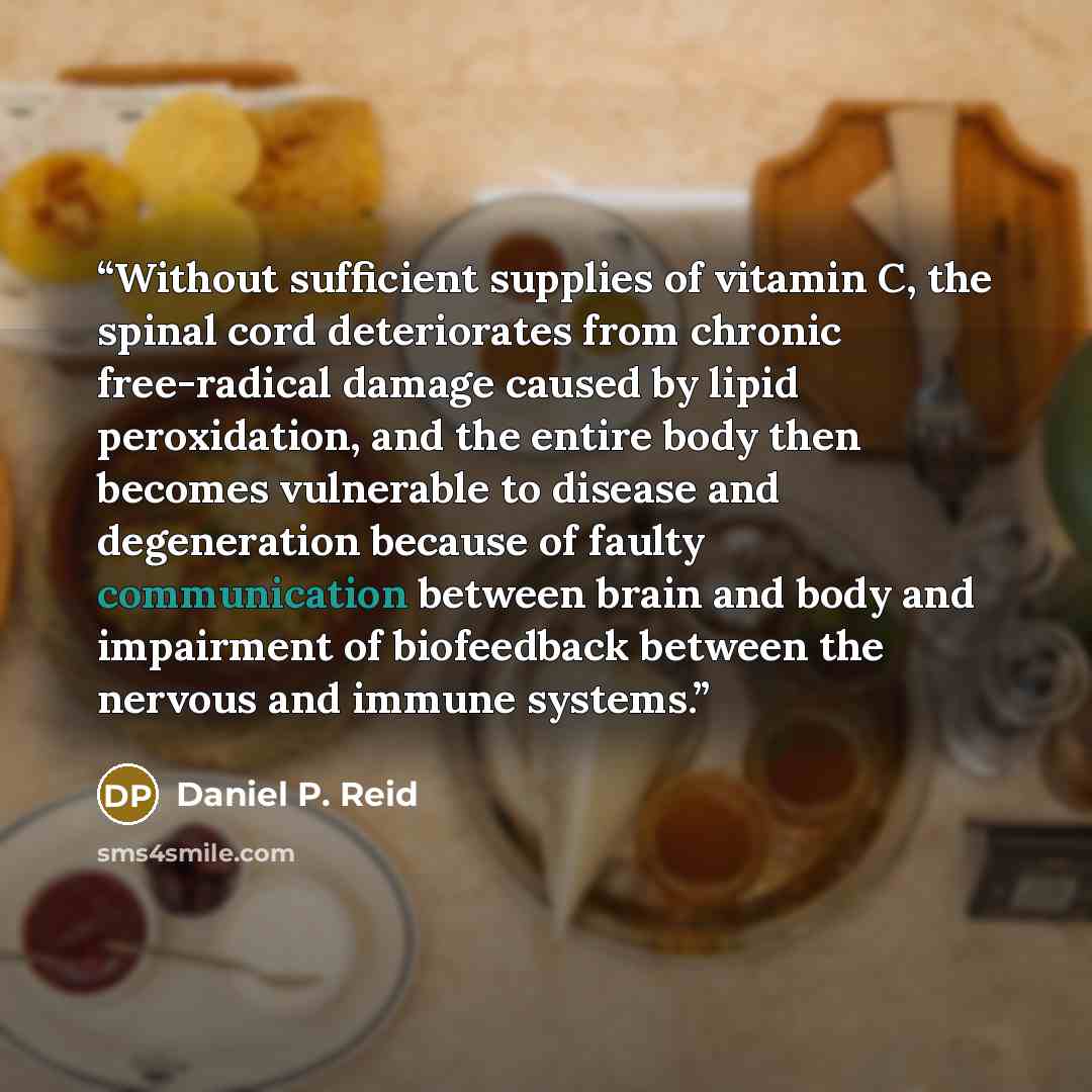“Without sufficient supplies of vitamin C, the spinal cord deteriorates from chronic free-radical damage caused by lipid peroxidation, and the entire body then becomes vulnerable to disease and degeneration because of faulty communication between brain and body and impairment of biofeedback between…” quote by Daniel P. Reid