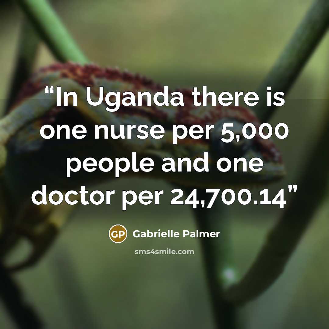 “In Uganda there is one nurse per 5,000 people and one doctor per 24,700.14” quote by Gabrielle Palmer