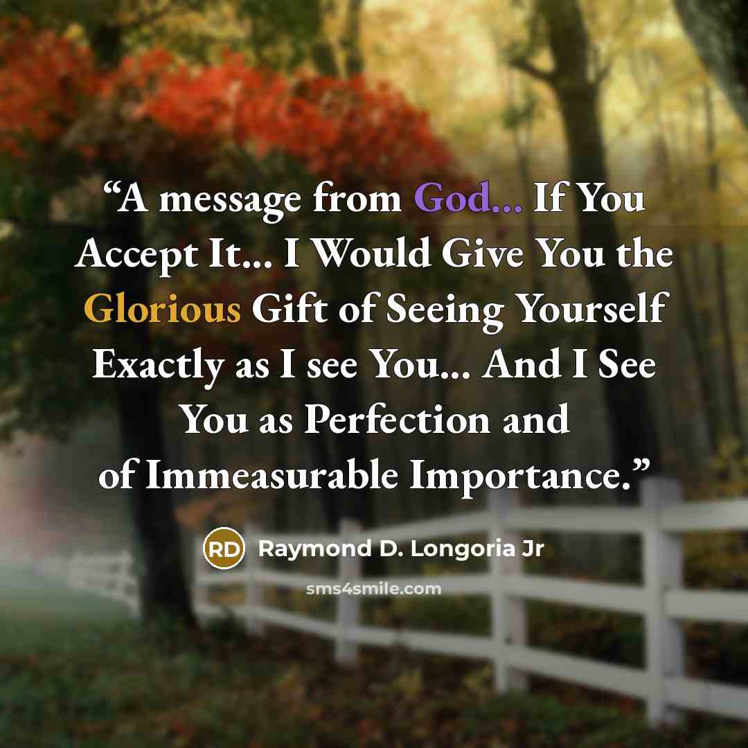 “A message from God... If You Accept It... I Would Give You the Glorious Gift of Seeing Yourself Exactly as I see You... And I See You as Perfection and of Immeasurable Importance.” quote by Raymond D. Longoria Jr