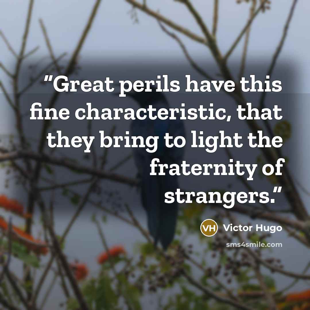 “Great perils have this fine characteristic, that they bring to light the fraternity of strangers.” quote by Victor Hugo