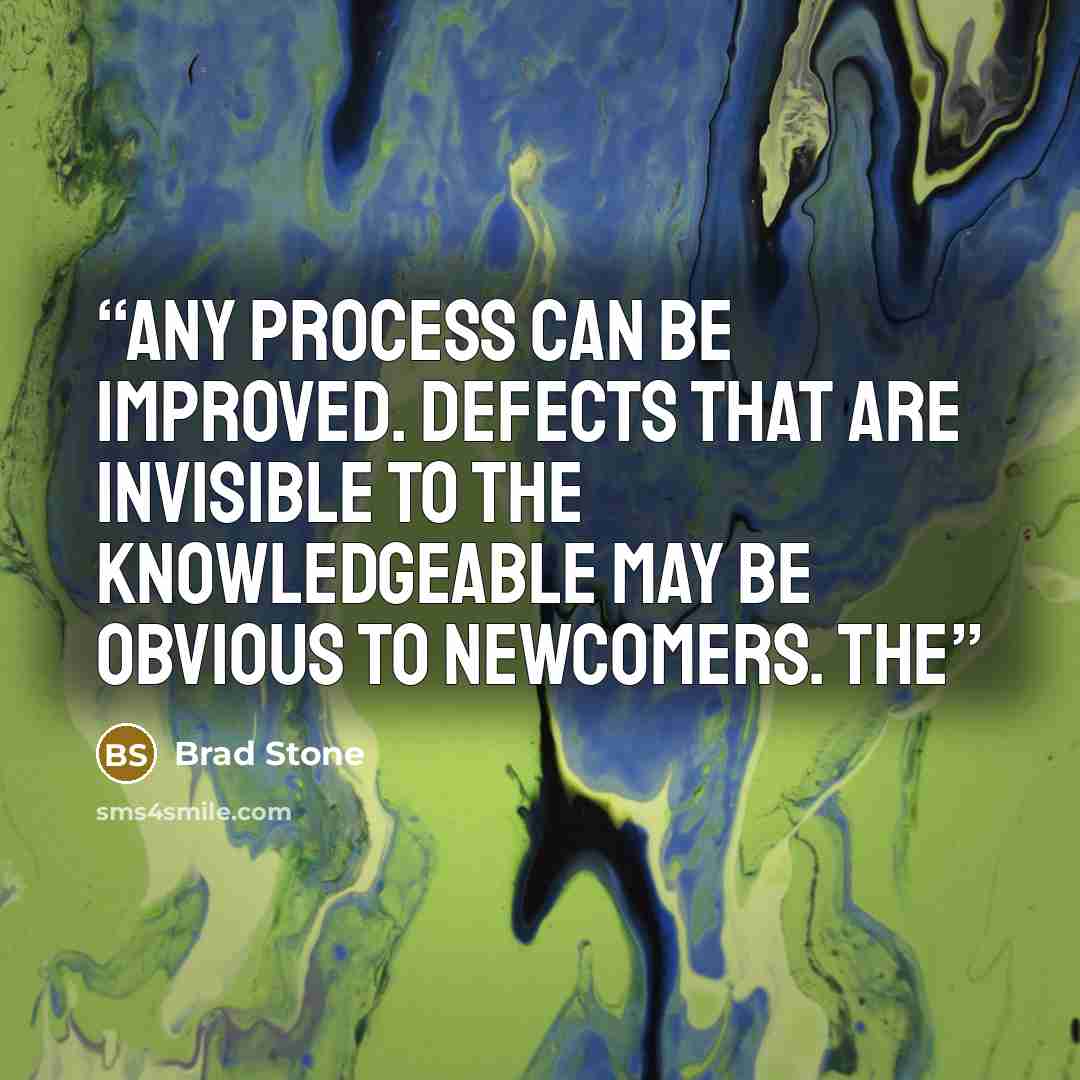 “Any process can be improved. Defects that are invisible to the knowledgeable may be obvious to newcomers. The” quote by Brad Stone
