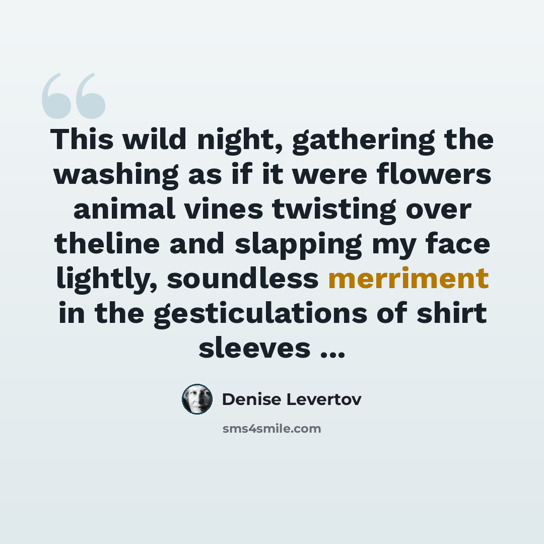 “This wild night, gathering the washing as if it were flowers animal vines twisting over theline and slapping my face lightly, soundless merriment in the gesticulations of shirt sleeves ...” quote by Denise Levertov