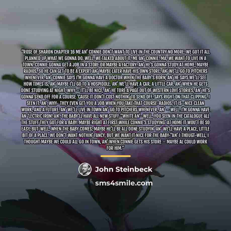 “Rose of Sharon Chapter 16 Me an’ Connie don’t want to live in the country no more. We got it all planned up what we gonna do. Well, we talked about it, me an’ Connie. Ma, we want to live in a town. Connie gonna get a job in a store or maybe a factory. An’ he’s gonna study at home, maybe radios, so…” quote by John Steinbeck