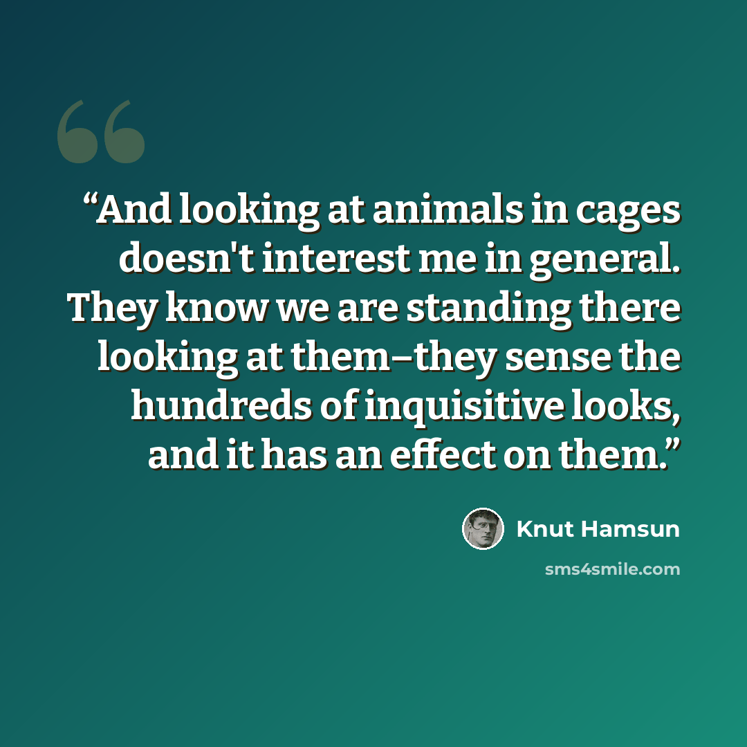 “And looking at animals in cages doesn't interest me in general. They know we are standing there looking at them–they sense the hundreds of inquisitive looks, and it has an effect on them.” quote by Knut Hamsun