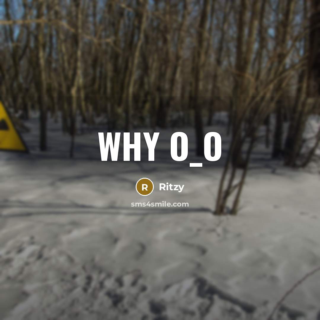 “Why O_o” quote by Ritzy