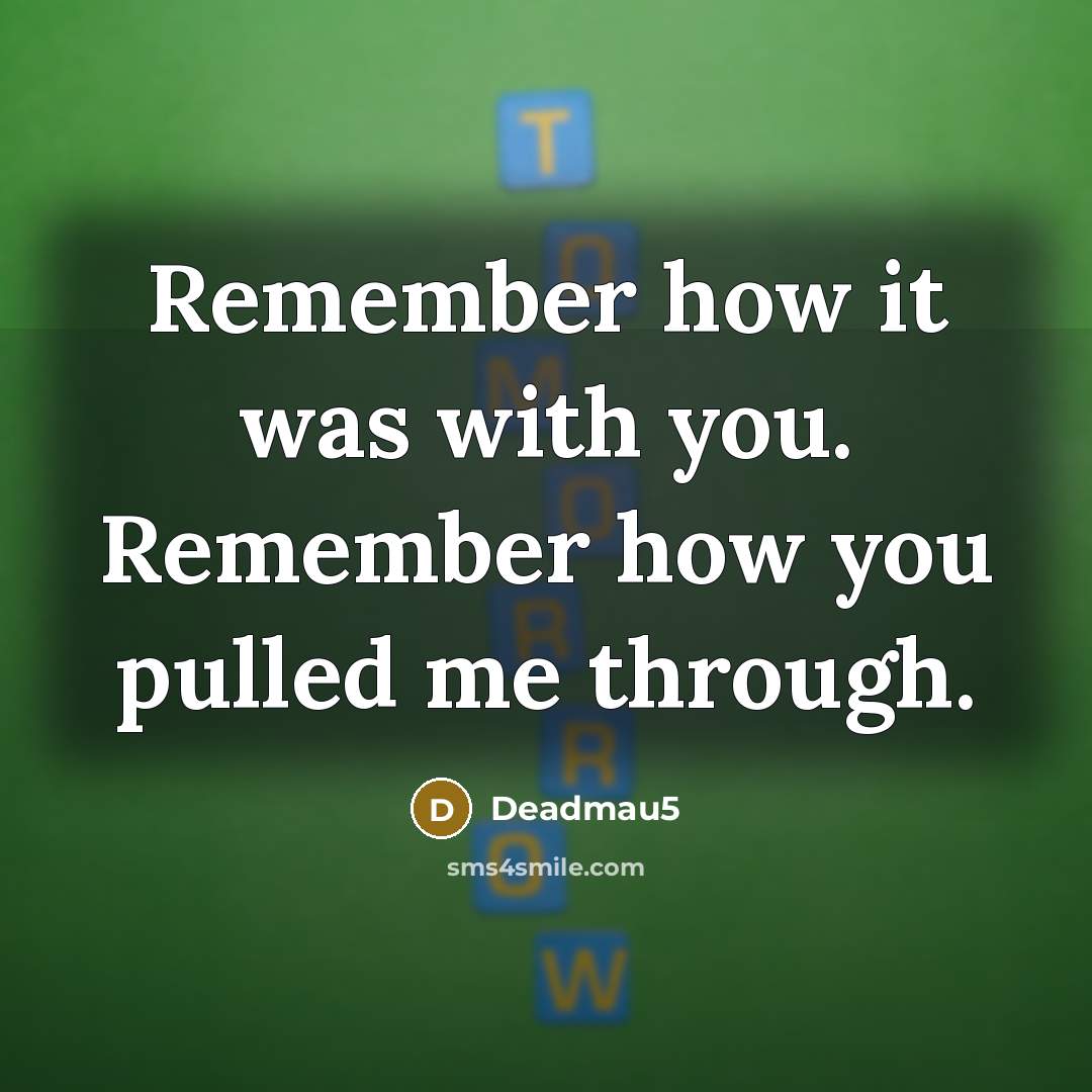 “Remember how it was with you. Remember how you pulled me through.” quote by Deadmau5