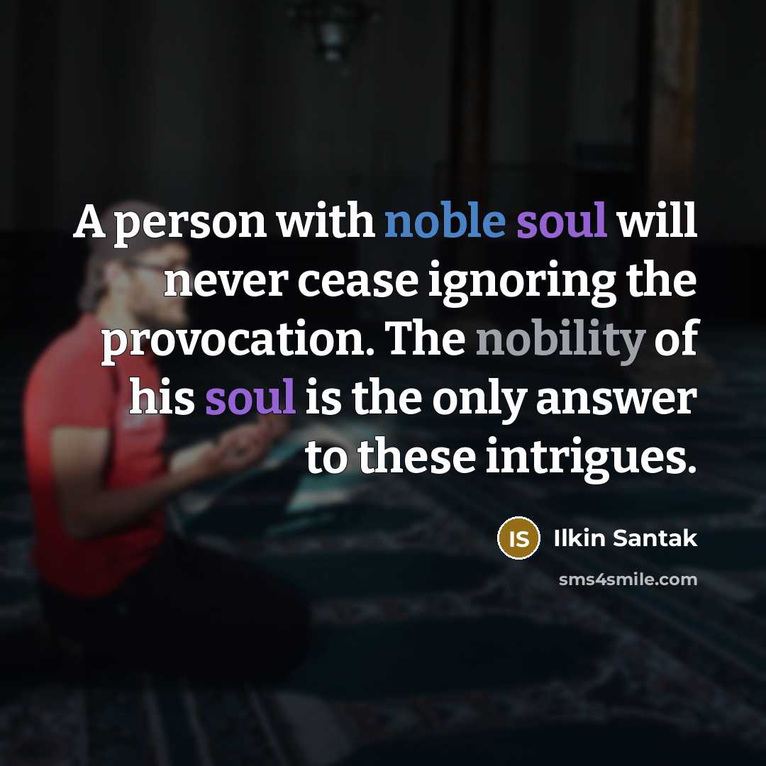 “A person with noble soul will never cease ignoring the provocation. The nobility of his soul is the only answer to these intrigues.” quote by Ilkin Santak