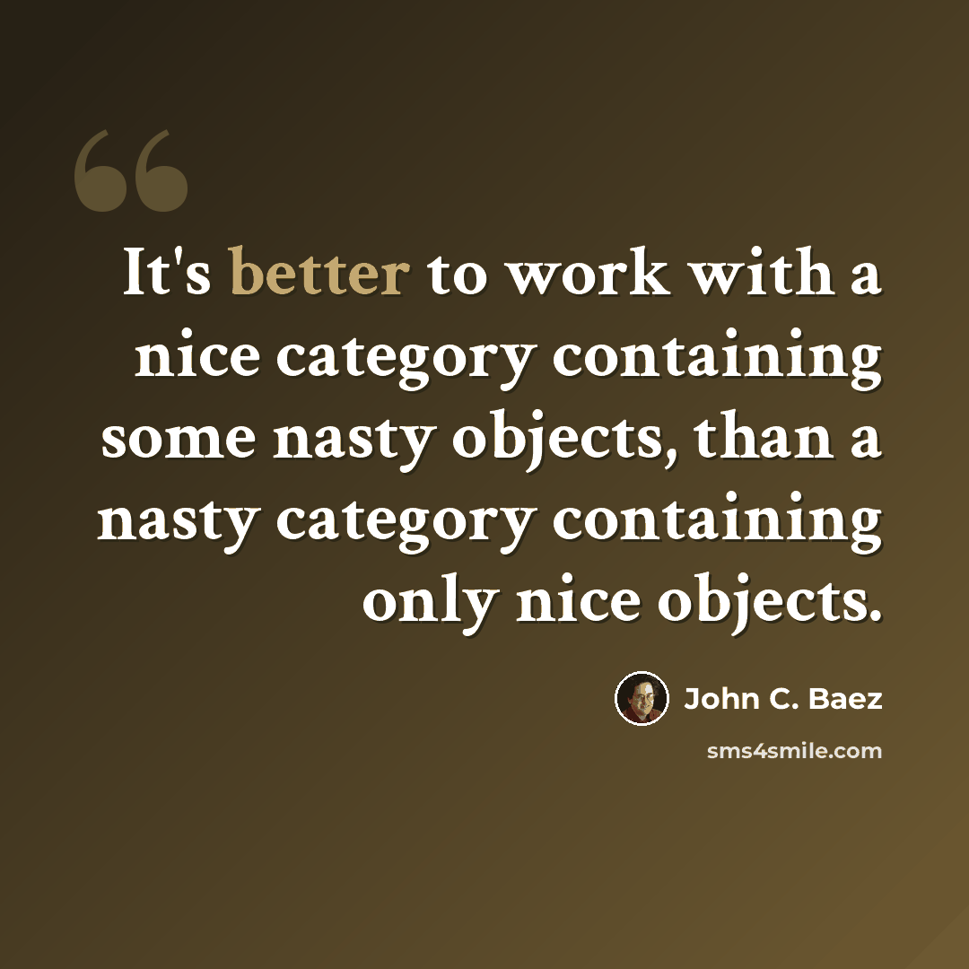 “It's better to work with a nice category containing some nasty objects, than a nasty category containing only nice objects.” quote by John C. Baez