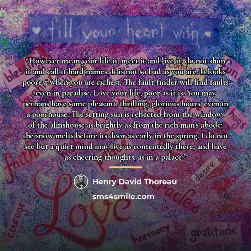 “However mean your life is, meet it and live it; do not shun it and call it hard names. It is not so bad as you are. It looks poorest when you are richest. The fault-finder will find faults even in paradise. Love your life, poor as it is. You may perhaps have some pleasant, thrilling, glorious…” quote by Henry David Thoreau