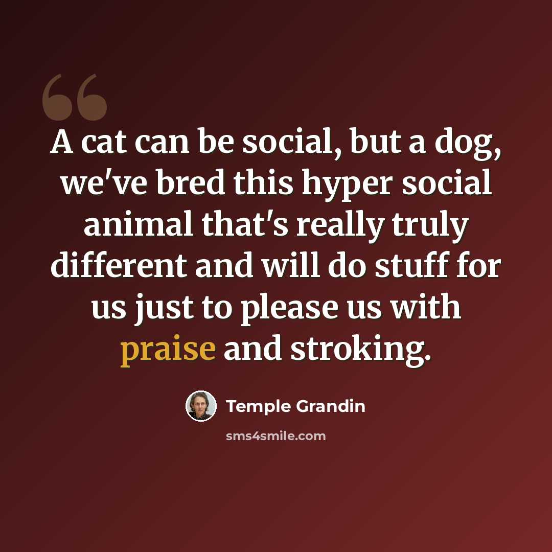 “A cat can be social, but a dog, we've bred this hyper social animal that's really truly different and will do stuff for us just to please us with praise and stroking.” quote by Temple Grandin