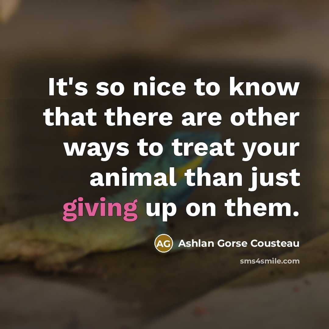 “It's so nice to know that there are other ways to treat your animal than just giving up on them.” quote by Ashlan Gorse Cousteau