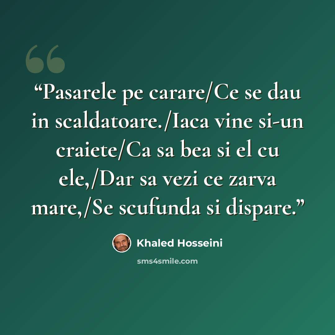 “Pasarele pe carare/Ce se dau in scaldatoare./Iaca vine si-un craiete/Ca sa bea si el cu ele,/Dar sa vezi ce zarva mare,/Se scufunda si dispare.” quote by Khaled Hosseini